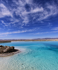 ��ʴ��߶���ɶ��ͷ����������