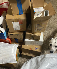 ������20������е��ۣ�˫ʮһ������ľ�����Ĥ��