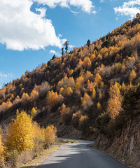 �����ظ����صĵط�����Ʊȫ�⣬�Ƶ���