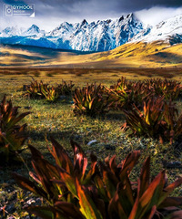 �����ظ����صĵط�����Ʊȫ�⣬�Ƶ���