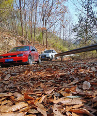 pﾰ¶IСһĆ