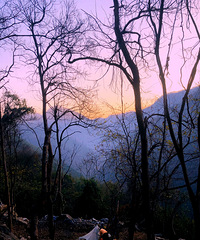 pﾰ¶IСһĆ᣿