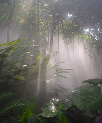 �������й���|������3��Ӧ�������棡