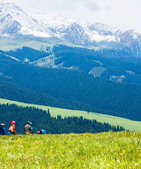 �½����������ˣ����ڵȵ��㣬���ú�Զ������˹�ܽ�