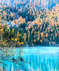 �½����������ˣ����ڵȵ��㣬���ú�Զ������˹�ܽ�