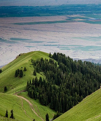 ����û�뵽���½���Ȼ�ֳ��˸��˼����ã�