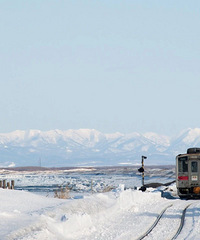 ����ȥ�������������Ƿ��ˣ�������棡