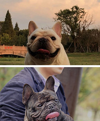 ˫Ѫͳ���ַ�����ţȮ������������һĸ�Ҽҳ���