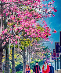 �й�Ψһ�Ի�������ů��С�ǣ��ȳɶ����ݣ��Ȱ��������