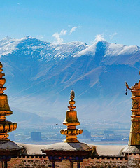 2021�ꡰ�������ء��������߷�����