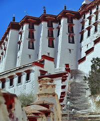 ���أ�ȥ1000��Ҳ����