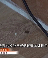 男子整整3天沒法睡覺!一查嚇懵:耳朵里竟有只蟑螂