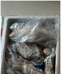 1000海鮮被弄丟,賠我36塊好大方