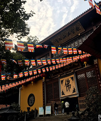 打卡wanghong地吖 真的超多好看的小姐姐和小哥哥