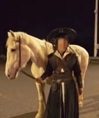 不是特效!橫店劇組兩匹馬沖上高速,撞上小轎車砸塌車頂…
