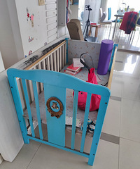 ���۶��ֶ�ͯ��Ӥ������Сһ�׹�2�ţ��ϼ�100Ԫ