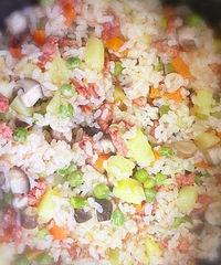 ����õ緹�����򵥵�ʲ�������̳�����