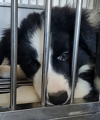 3������ֻ�����������