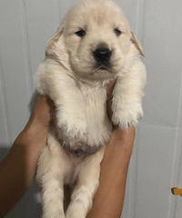 �����ů��������