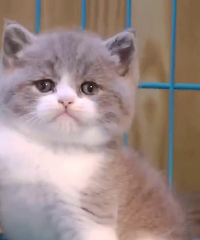 ���̵�����[�Թ�]һ�ѵ�����