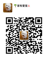 ��ƷӢţһ��