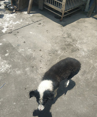 ���ۼ����ĸ��±�������