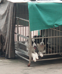 ���ۼ����ĸ��±�������