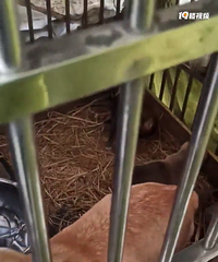 ϲ�������Ľ�