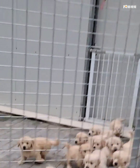 ����ů��С��ë