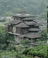 花了三天在西湖找碑,發現許多隱秘角落