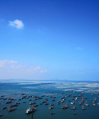 ����һƪ������ת��ɽ��ʵ�øɻ����������ղأ�