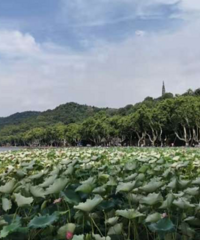 沖擊35℃!臺風“煙花”遠離,杭城明起高溫回歸?