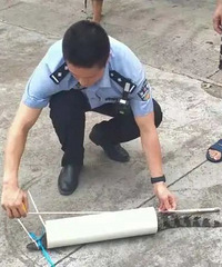 一覺醒來家里出現一條鱷魚?村干部徒手將其制服,用的竟是...