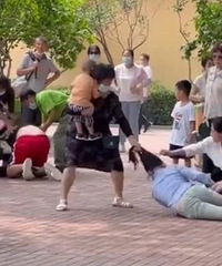 游客打架引發動物效仿!剛剛北京野生動物園這則通告,笑噴了