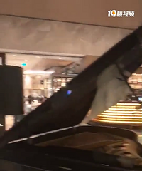 �ձ�ԭװYAMAHAȫ�Զ��������Ǹ��ٳ���