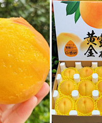 39元買了一箱錦繡黃桃,汁多味濃又清甜