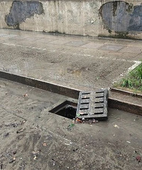“杭州暴雨”再上熱搜!下沙一小區馬路上出現鱷魚!