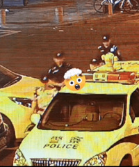 酒后砸道閘打保安打警察,杭州女子攤上大事了