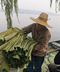 明天起,正式開賣!很多杭州人都在記掛它!今年有重要變化...