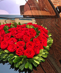 ѡ��һ����Խϲ�ĳ������鳵��������Ϊ���ų��ƺ���