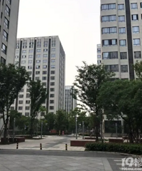 “三下鄉”暑假社會實踐活動調查報告