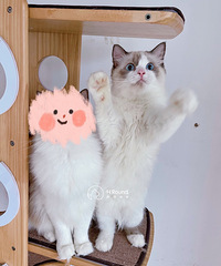 �ԼҺ�˫��ż���ã���ʱ�ɻؼ�