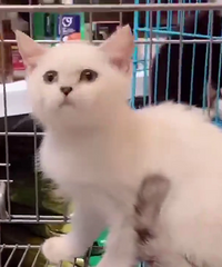 ����������ܵ�