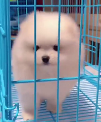 �����ܵ�