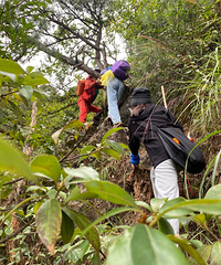 武功山最野的山路