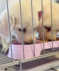 ��������ܵ�