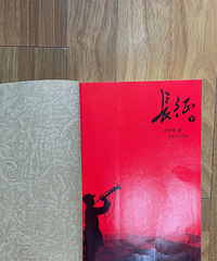 杭州市民政局(市救助站)——唐卓偉