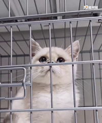 ����ܵ�1000