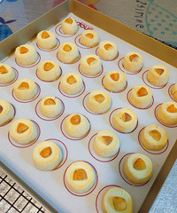 �ɿɰ�����ɯ���ٱ���