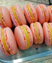 ��������һ���Ǵ���������